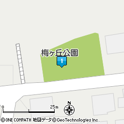 周辺地図