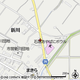 琉球ゴーレックス株式会社　八重山支店周辺の地図
