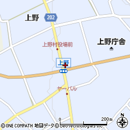 株式会社ＪＡおきなわＳＳ　上野ＳＳ周辺の地図