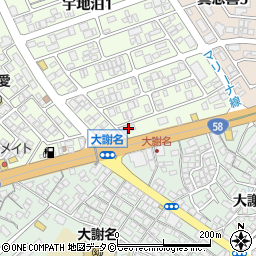 株式会社善林堂宜野湾店周辺の地図