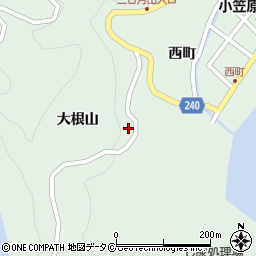 東京都小笠原村父島大根山周辺の地図