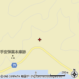 鹿児島県大島郡瀬戸内町手安808周辺の地図