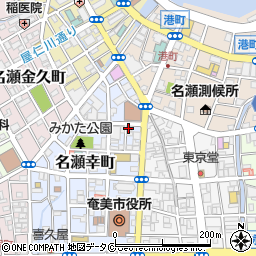 損害保険ジャパン株式会社　鹿児島支店奄美大島支社周辺の地図