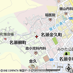 鹿児島県奄美市名瀬柳町11-2周辺の地図