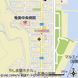 奄美大島信用金庫長浜支店周辺の地図