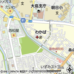 奄美動物病院周辺の地図