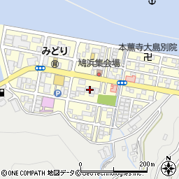 ドラッグイレブン　奄美店周辺の地図
