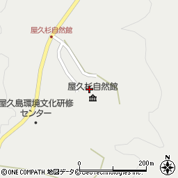 屋久杉自然館周辺の地図