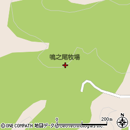 鹿児島県鹿屋市有武町1305周辺の地図