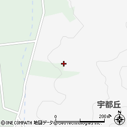 鹿児島県志布志市有明町野神2266周辺の地図