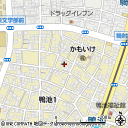 鹿児島県鹿児島市鴨池1丁目19周辺の地図