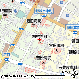 博修会柏村内科周辺の地図