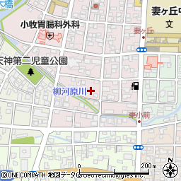 宮崎県都城市中原町4-35周辺の地図