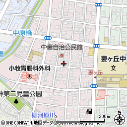 宮崎県都城市中原町21-11周辺の地図