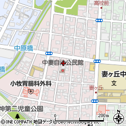 宮崎県都城市中原町21-17周辺の地図