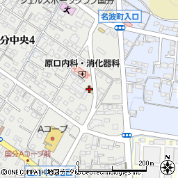 株式会社サニクリーン九州サニタリーオペレーション国分営業所周辺の地図