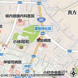 宮崎県小林市真方29周辺の地図