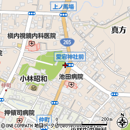 宮崎県小林市真方31周辺の地図