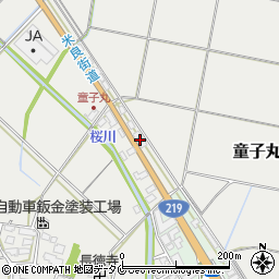 宮崎県西都市童子丸218周辺の地図
