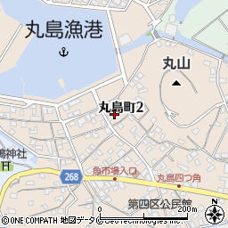 熊本県水俣市丸島町周辺の地図