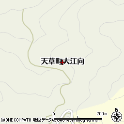 熊本県天草市天草町大江向周辺の地図