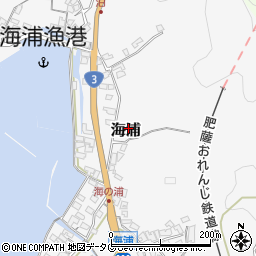 熊本県葦北郡芦北町海浦229周辺の地図