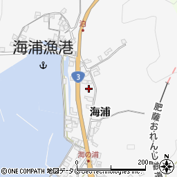 熊本県葦北郡芦北町海浦248周辺の地図