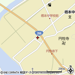 熊本県天草市栖本町湯船原790周辺の地図
