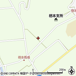 熊本県天草市栖本町馬場206周辺の地図