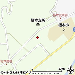 熊本県天草市栖本町馬場137周辺の地図
