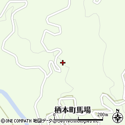 熊本県天草市栖本町馬場650周辺の地図
