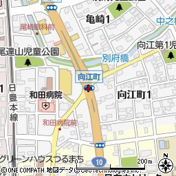 向江町周辺の地図