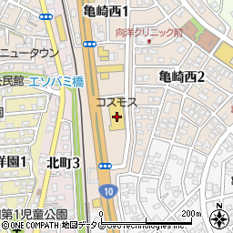 ドラッグストアコスモス亀崎店周辺の地図