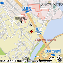 ドラッグストアモリ天草亀川店周辺の地図