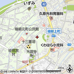 熊本県八代市植柳元町5668周辺の地図