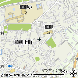 〒866-0081 熊本県八代市植柳上町の地図