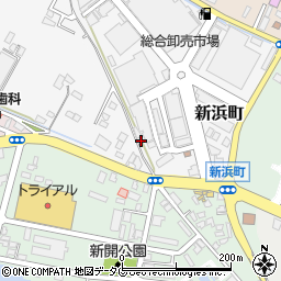 熊本県八代市新浜町2-24周辺の地図