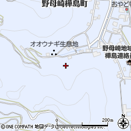 長崎県長崎市野母崎樺島町1141周辺の地図