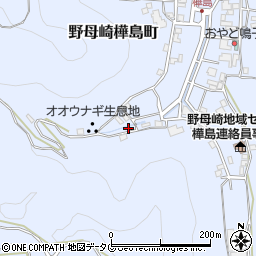 長崎県長崎市野母崎樺島町1113周辺の地図