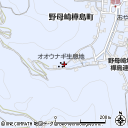 長崎県長崎市野母崎樺島町1609周辺の地図