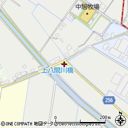 熊本県八代郡氷川町新田493周辺の地図