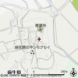 熊本県上益城郡甲佐町麻生原633周辺の地図