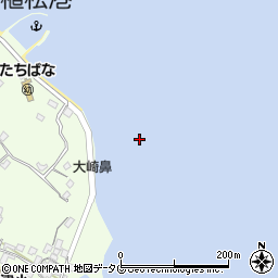 大崎鼻周辺の地図