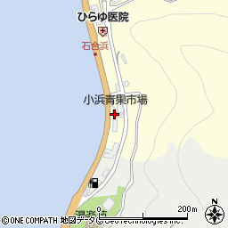 小浜青果市場周辺の地図