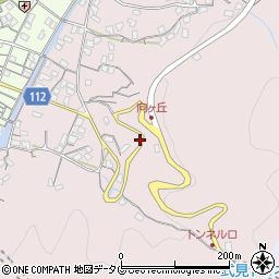 長崎県長崎市向町787周辺の地図