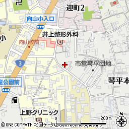 熊本県熊本市中央区琴平本町4-38周辺の地図