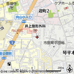 熊本県熊本市中央区琴平本町4-48周辺の地図