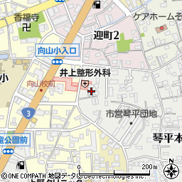 熊本県熊本市中央区琴平本町3-38周辺の地図