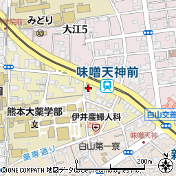 熊本県熊本市中央区大江本町6-25周辺の地図