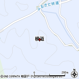 高知県土佐清水市横道周辺の地図